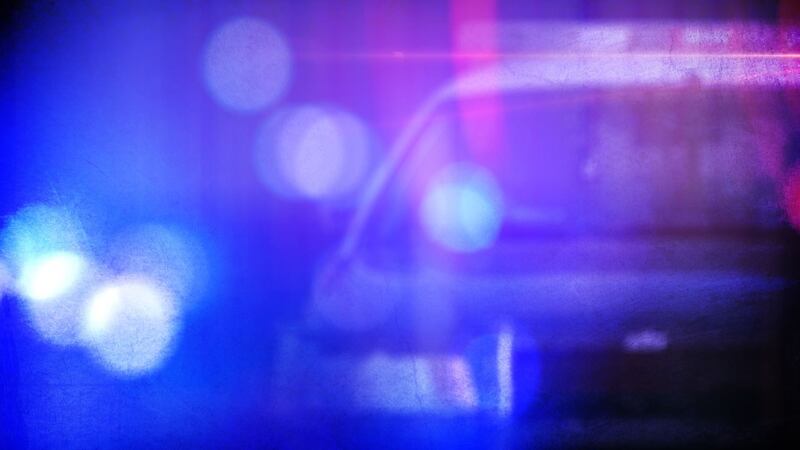 Authorities said the girl had walked away from her home with two family dogs.