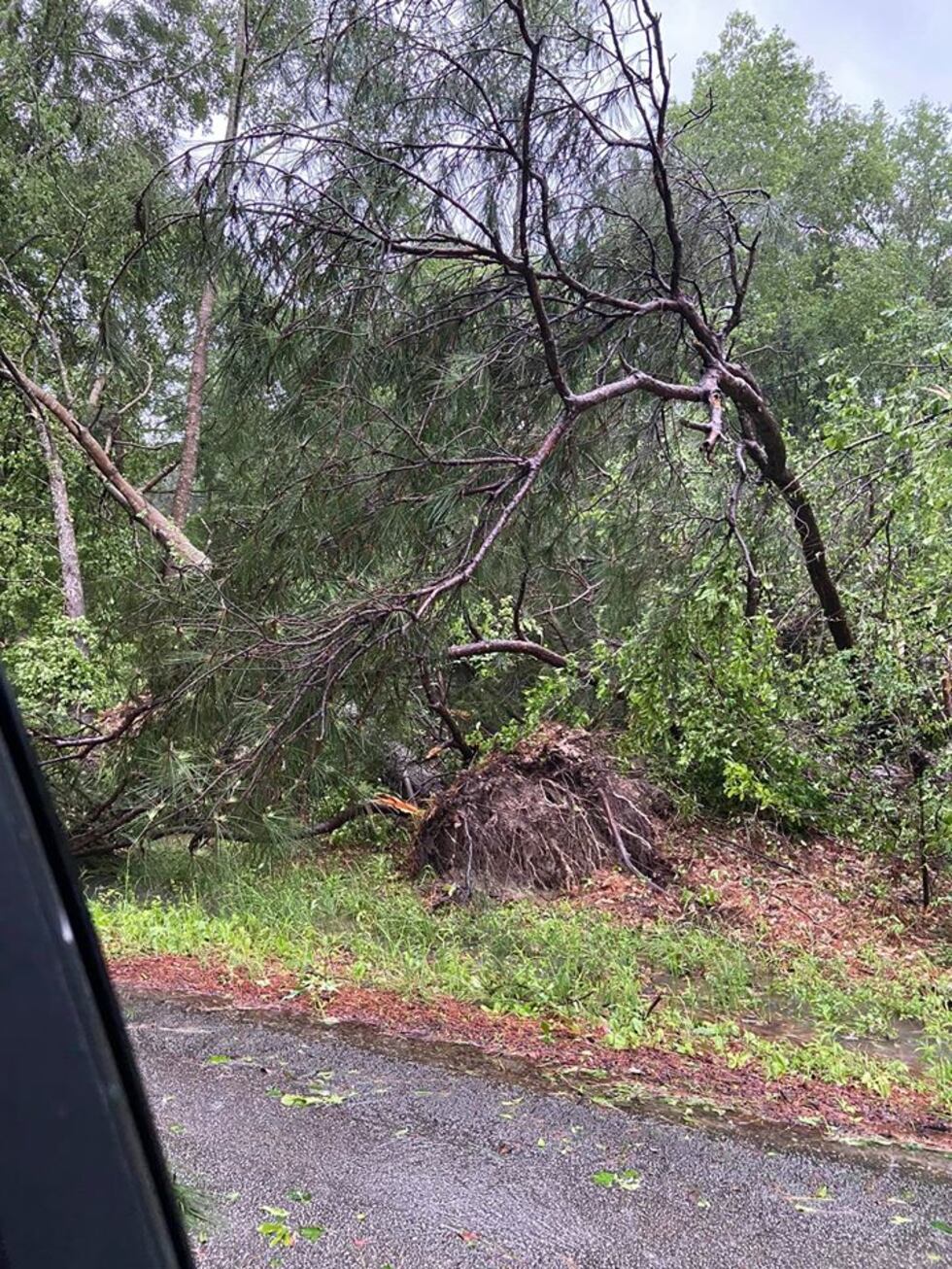 Storm damage on Vernon Lake.
