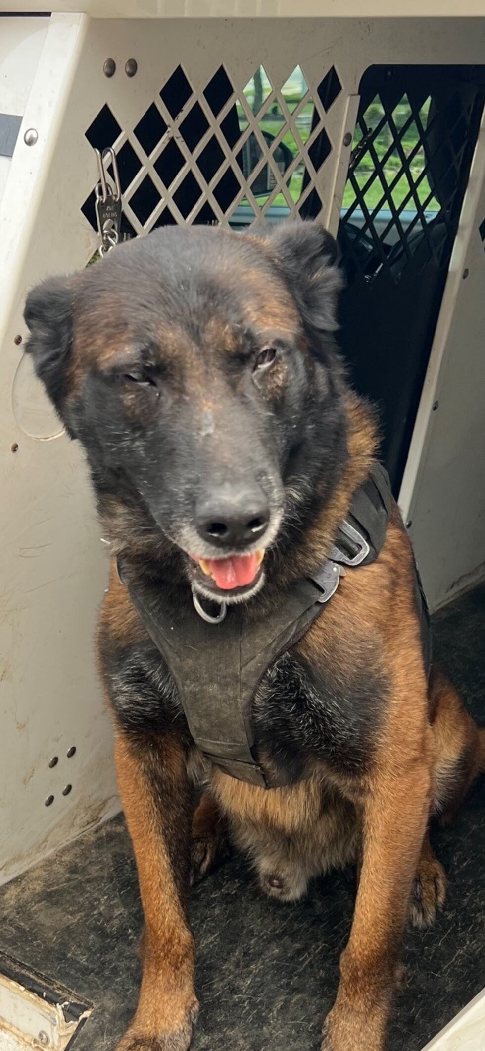 K9 Harrie died June 24, 2023.