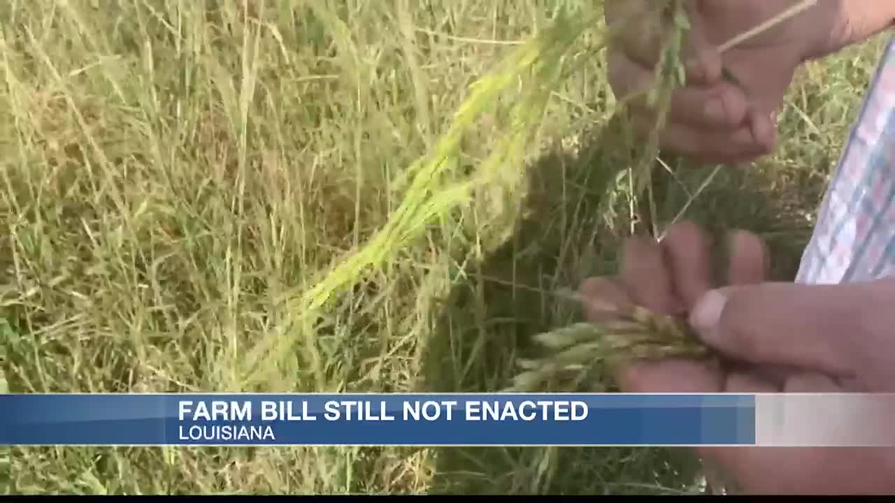 Ag and Forestry Commissioner says new Farm Bill overdue - Vimarsana News
