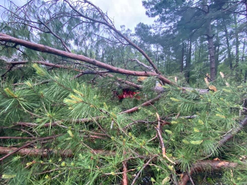 Property damage on La. 28 near Leesville. A storm system that moved through Sunday afternoon...