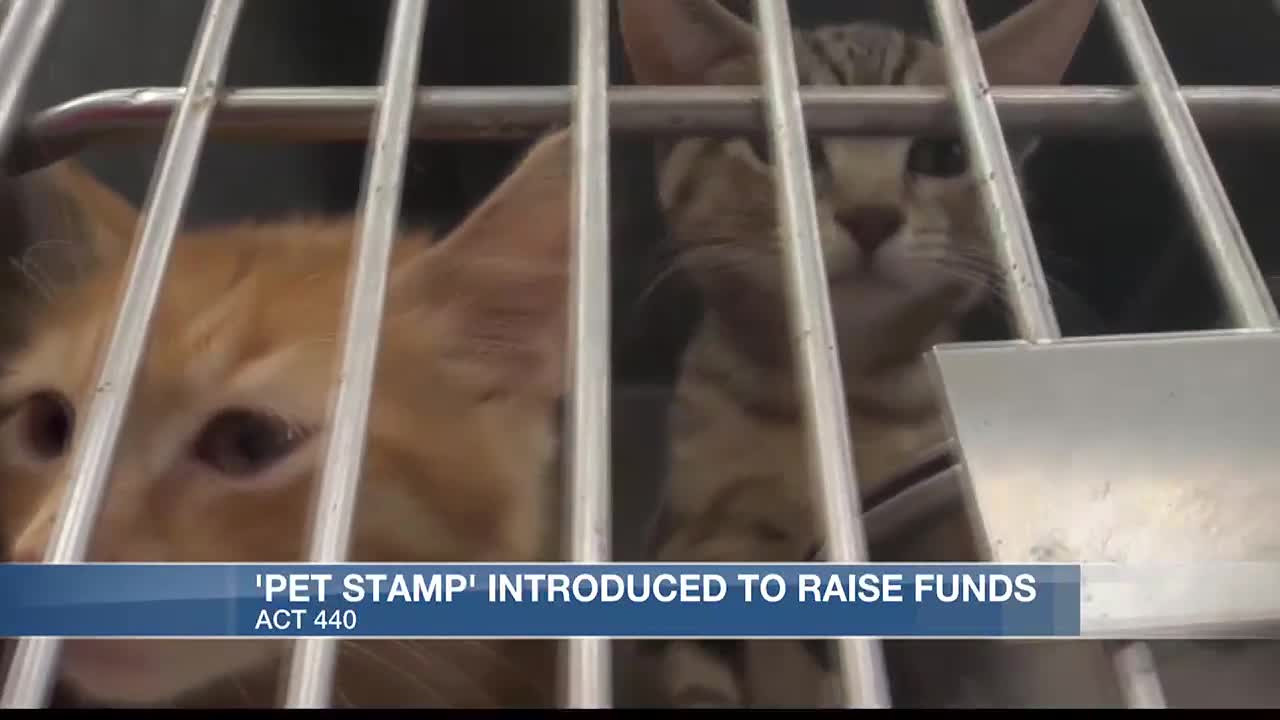 'Pet Stamps' introduced to raise awareness for shelter crowding - Vimarsana News