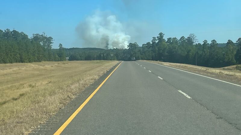 Woods fire near Mill Street and White City Road off Highway 171 near the Sabine/Vernon parish...