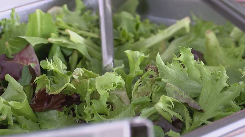 Local restaurant says CDC’s romaine lettuce recall won’t effect the quality of their meals