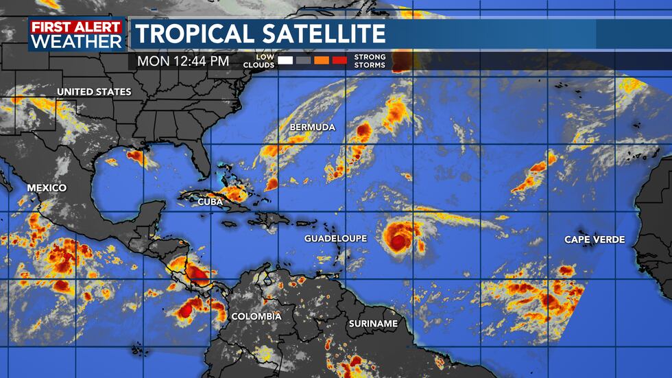First Alert Forecast