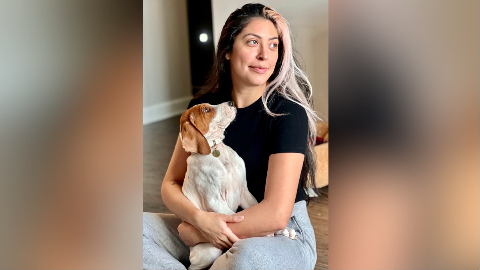 Woman learns her dog is alive, up for adoption after taking it to be euthanized a year earlier - Vimarsana News